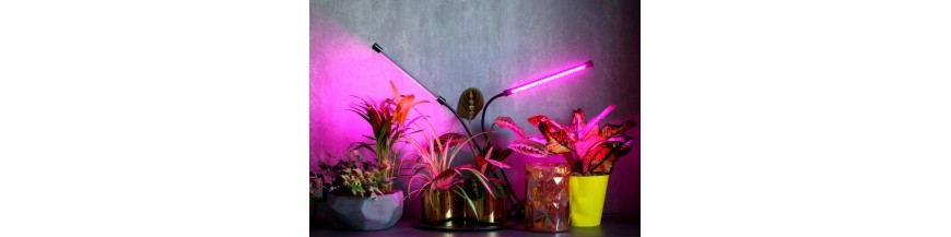 LED grow e Gadgets